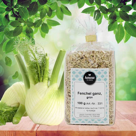 Fenchel ganz
