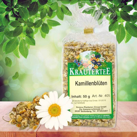 Kamillenblüten