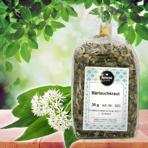 Bärlauch