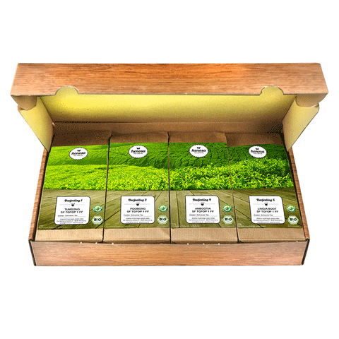 Geschenkbox Darjeeling Dreams BIO