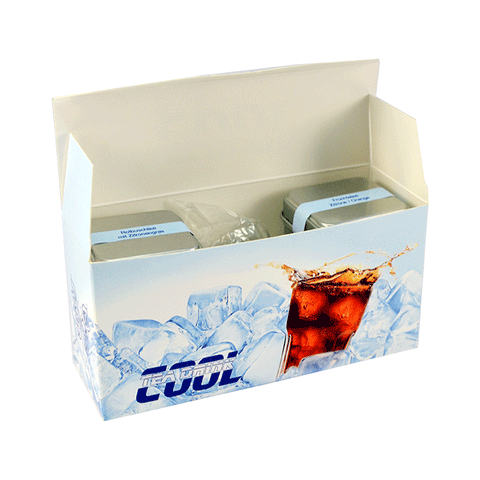 Geschenkbox 'Cool Tea Box' Teespezialitäten