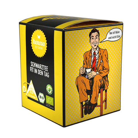 Schwarztee Fit in den Tag Box Bio