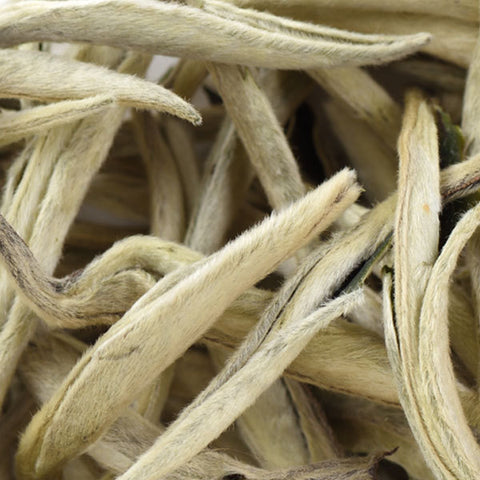 Fujian Da Bai Yin Zhen Silver Needle AAA - 2019 - 1 kg Packung