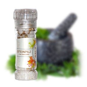 Steinpilzsalz